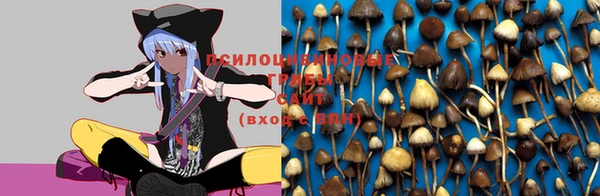 марки lsd Заволжье