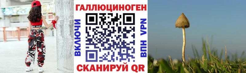 Галлюциногенные грибы Psilocybe  Купить закладки  Мурино 